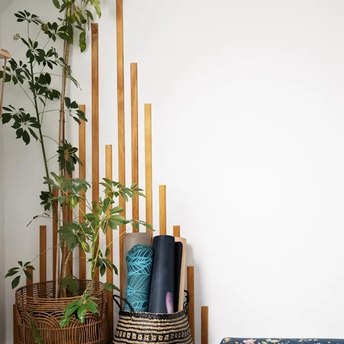 A close detail of rolled mats and props in a cosy corner with a plant